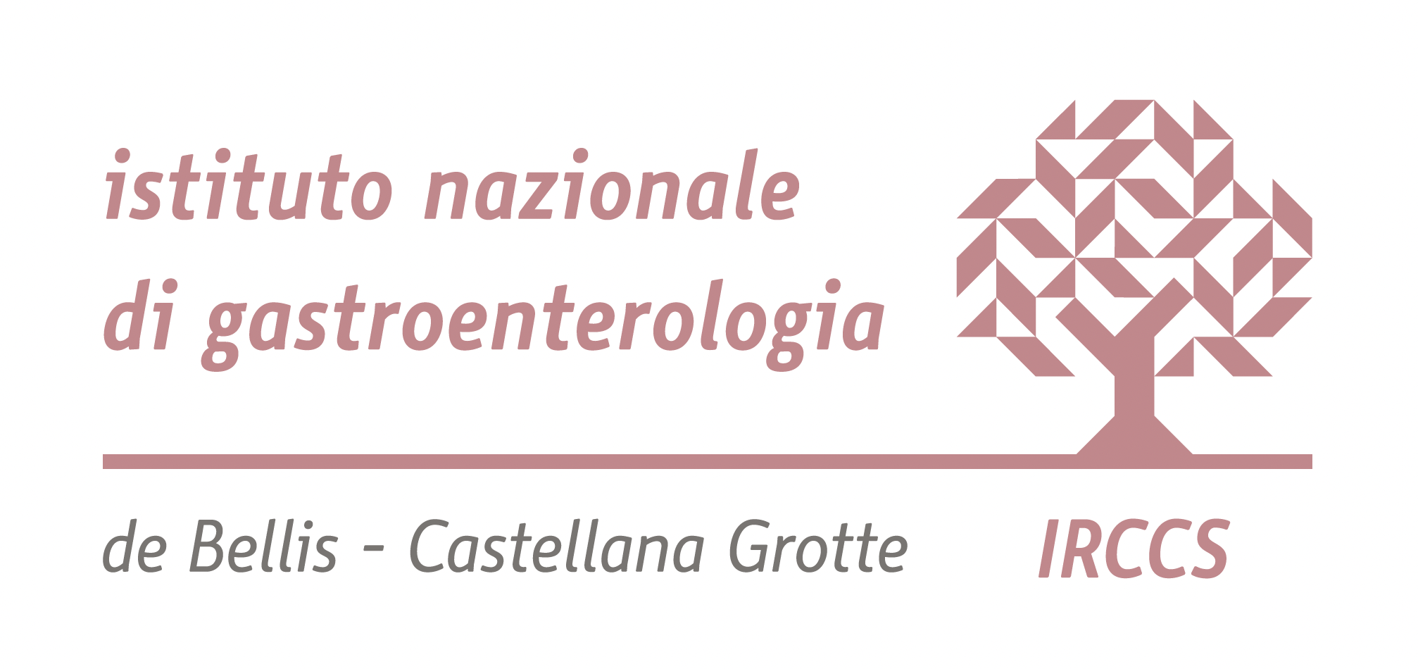 LOGO De Bellis
